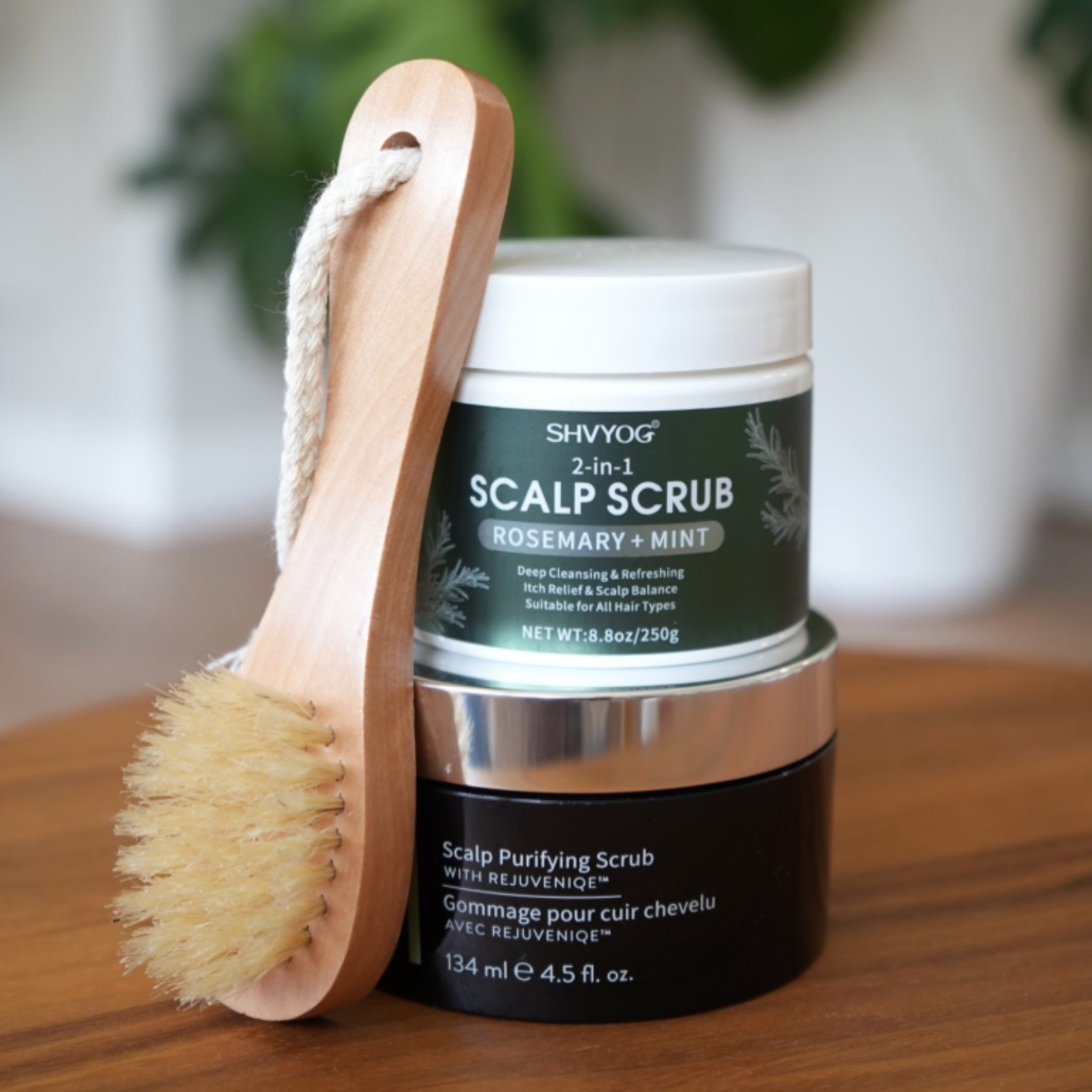 Sanctuary gallery image 9